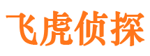 白塔市侦探公司